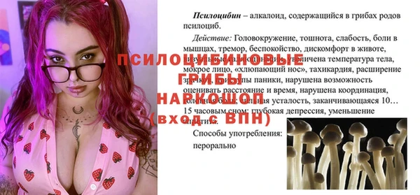 МДПВ Верея