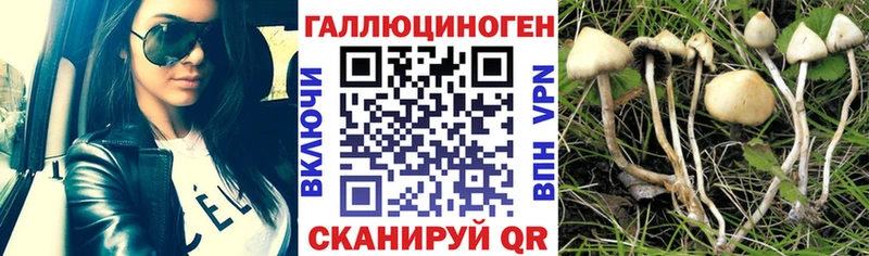 Галлюциногенные грибы мухоморы  Екатеринбург 